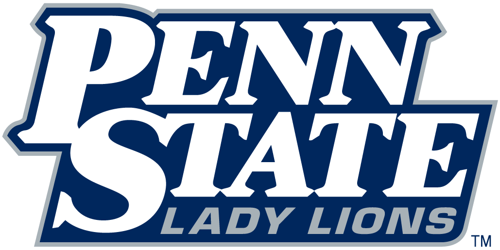 Penn State Nittany Lions 2001-2004 Wordmark Logo v2 DIY iron on transfer (heat transfer)